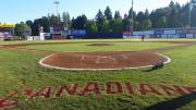 Scotiabank Field